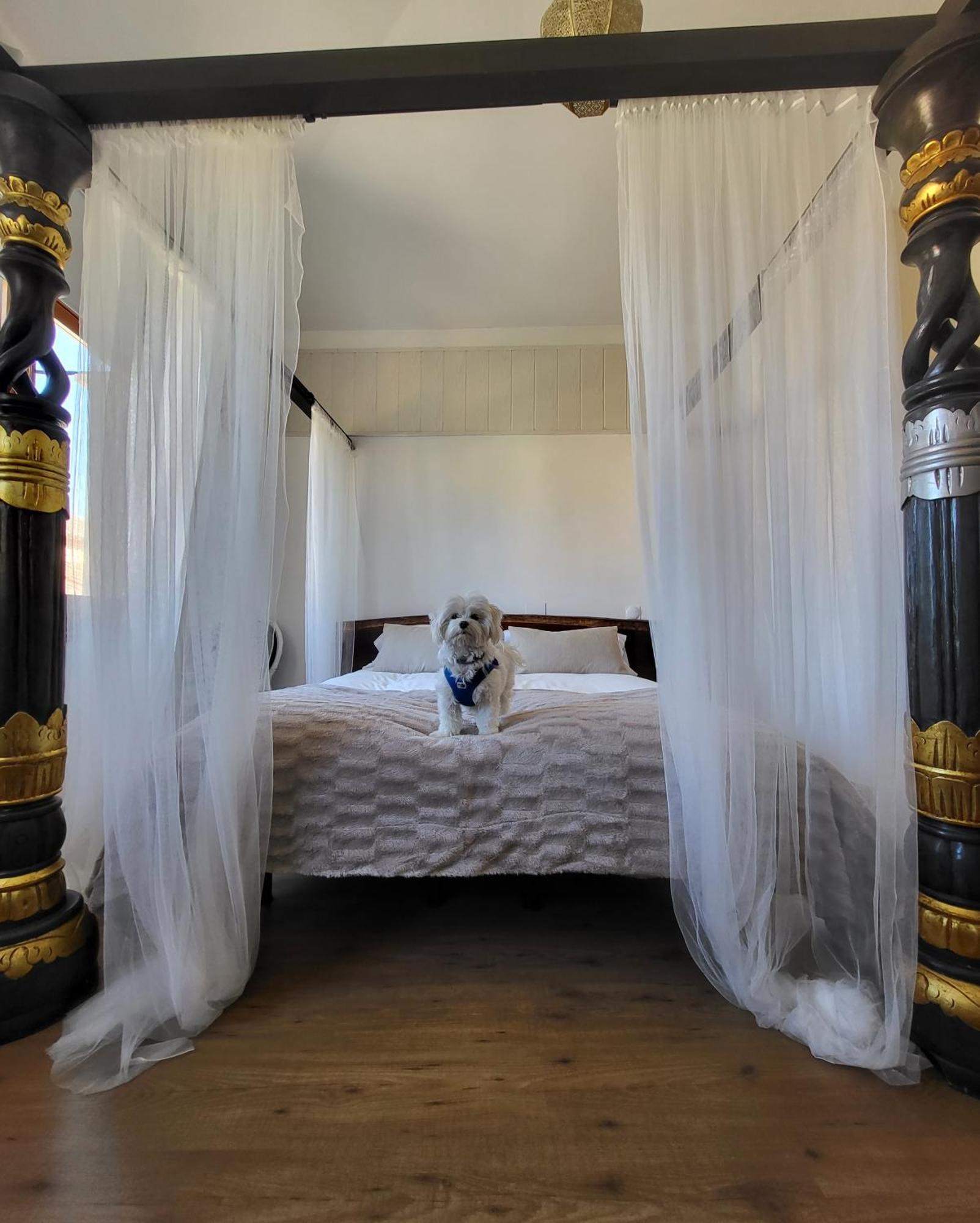 Hotel Rural Luna Llena Torremocha de Jarama Pokoj fotografie